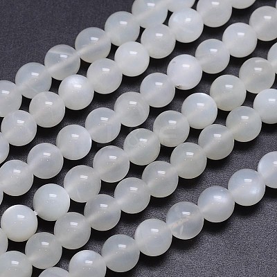 Nature White Moonstone Round Bead Strands G-M262-8mm-04-1