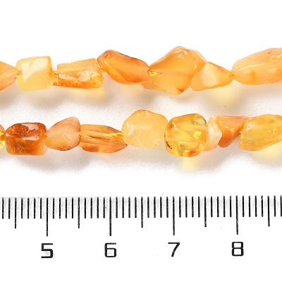 Natural Amber Beads Strands G-P497-01C-04-1