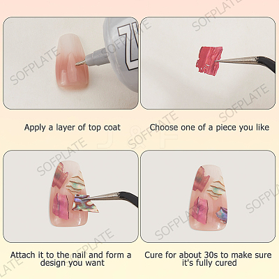 1 Set 12 Colors Shell Slices MRMJ-SP0001-05A-1