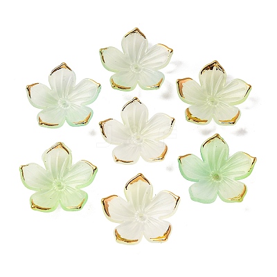 Transparent Acrylic Bead Caps TACR-P011-03A-1