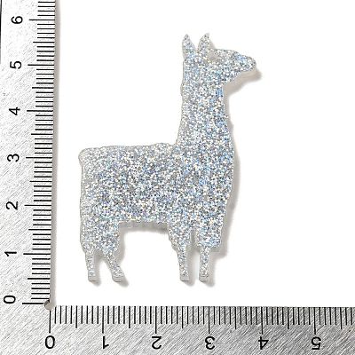 Acrylic Pendants OACR-R270-01A-1