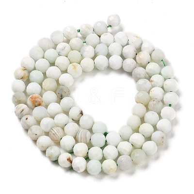 Natural Green Opal Beads Strands G-Z035-A02-03D-1