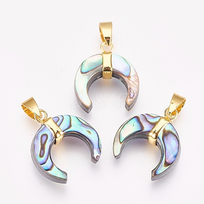 Paua Shell Pendants KK-G346-01B-1