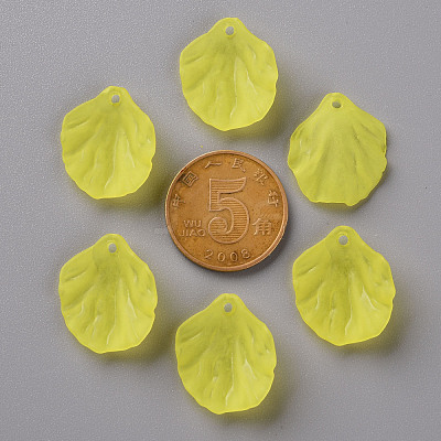 Transparent Frosted Acrylic Pendants MACR-S371-01A-717-1