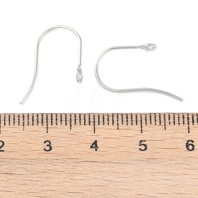 Tarnish Resistant 316 Surgical Stainless Steel Earring Hooks STAS-P162-13P-B01-1