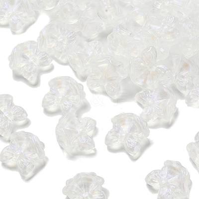 Transparent Acrylic Beads MACR-K359-31-1