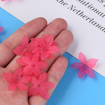 Transparent Acrylic Beads X1-MACR-S373-127-D-1