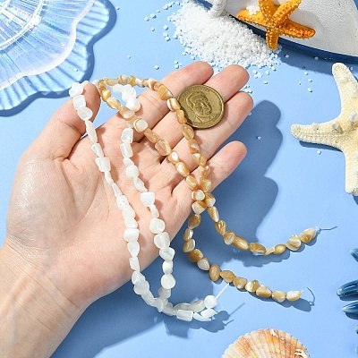 2 Strands 2 Colors Natural Shell Beads Strands SHEL-CJ0001-35-1