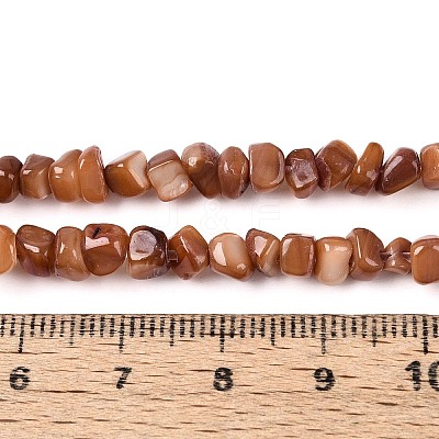 Natural Freshwater Shell Beads Strands SHEL-N037-04C-1