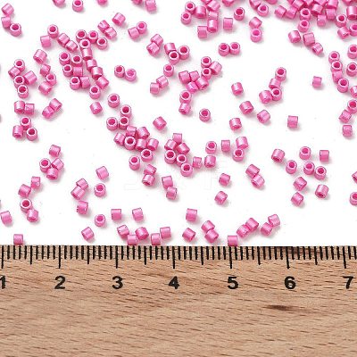 Baking Paint Glass Seed Beads X-SEED-S042-15B-27-1