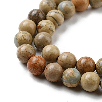 Natural Aqua Terra Jasper Beads Strands G-E444-14B-10mm-1