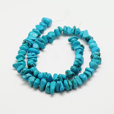 Chips Natural Magnesite Beads Strands G-N0132-05-1