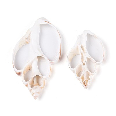 Natural Shell Big Pendants BSHE-T015-19-1