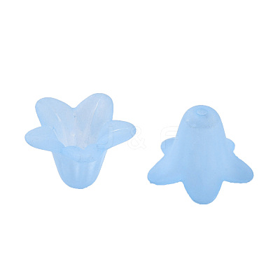 Transparent Acrylic Beads X-PLF018-06-1