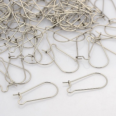 Tarnish Resistant 316 Surgical Stainless Steel Hoop Earrings STAS-N019-07-1