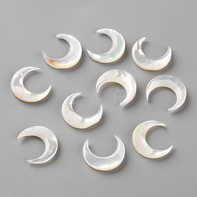 Natural White Shell Beads SSHEL-Q311-004B-01-1