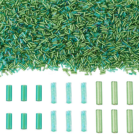 Transparent Bugle Beads Kits SEED-TA0001-57-1