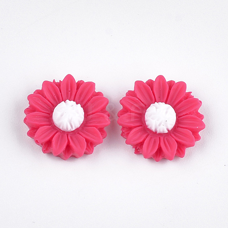 Resin Cabochons CRES-T010-60C-1