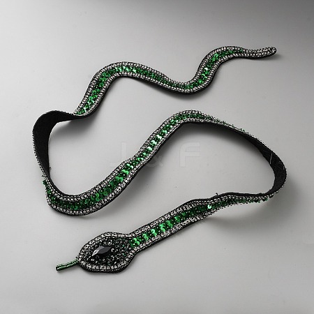 Snake Computerized Embroidery Cloth Iron on/Sew on Patches PATC-WH0002-067A-1