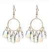 304 Stainless Steel Dangle Earrings EJEW-JE05874-1