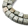 Natural Variscite Beads Strands G-B155-C05-8x8mm-4