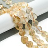 Natural Yellow Quartz Beads Strands G-G117-D08-01-2