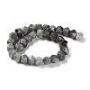 Natural Labradorite Beads Strands G-I194-46-3