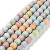 Natural Rainbow Alashan Agate Beads Strands G-NH0022-B01-01-1