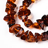 Natural Amber Beads Strands G-T138-235D-3