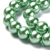 Eco-Friendly Dyed Glass Pearl Round Beads Strands HY-A002-12mm-RB008N-3