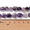 Natural Chevron Amethyst Beads Strands G-P497-01E-84-5