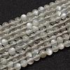 Natural Grey Moonstone Beads Strands G-F306-07-6mm-1