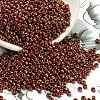 TOHO 8/0 Round Beads SEED-TR08-1708-1
