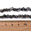 Natural Iolite/Cordierite/Dichroite Beads Strands G-I389-A34-01A-5