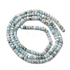 Natural Larimar Beads Strands G-F803-B01-01-3