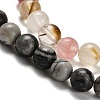 Natural Wood Lace Stone/Blue Spot Jasper/Black Netstone/Opal/Cherry Blossom Glass Beads Strands G-P562-C-02-4