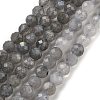 Natural Labradorite Beads Strands G-G140-A21-09-1