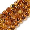 Natural Amber Beads Strands G-K387-D02-02-2