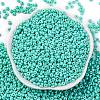 8/0 Baking Paint Glass Seed Beads SEED-M012-02A-41-2