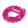 Natural Freshwater Shell Beads Strands SHEL-N037-04E-2