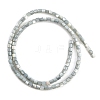 Natural Trochid Shell/Trochus Shell Bead Strands SSHEL-N034-77-C01-3