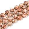 Natural Red Netstone Beads Strands G-N342-149I-15-2