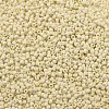 TOHO 11/0 Round Beads SEED-XTR11-0051F-2