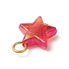 Transparent Acrylic Pendants PALLOY-JF03549-5