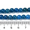 Natural Apatite Beads Strands G-D856-01-6mm-01-3