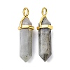 Natural Labradorite Pointed Pendants G-G025-01G-38-2