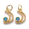 Real 18K Gold Plated Brass Micro Pave Cubic Zirconia Charms ZIRC-M114-52G-05-1