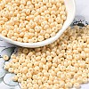 Baking Paint Glass Seed Beads X1-SEED-B001-02A-09-1