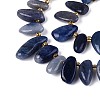 Natural Blue Aventurine Beads Strands G-Z091-A43-3
