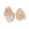 Rough Raw Natural Citrine Beads G-WH0003-02-2